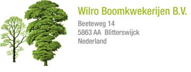 Wij zijn momenteel bezig met een nieuwe website